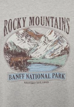 Kaotiko CREW ROCKS MOUNTAINS UNISEX - Sweatshirt - Grey 17 Kaotiko CREW ROCKS MOUNTAINS UNISEX - Sweatshirt - Grey -Kaotikoire Magasin 34b7fe80f90a4dd0922f721d91bbf0ba