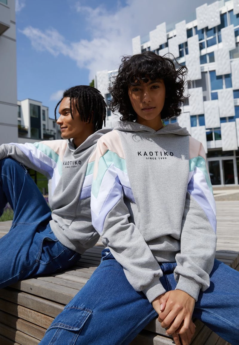 Kaotiko SUD CAP EWAN UNISEX - Kapuzenpullover - Grey/pink/green/white/grape 4 Kaotiko SUD CAP EWAN UNISEX - Kapuzenpullover - Grey/pink/green/white/grape – Bild 2