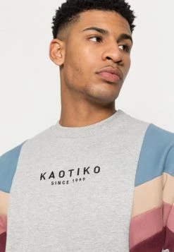 Kaotiko CREW SEATTLE UNISEX - Sweatshirt - Cement/blue/tierra -Kaotikoire Magasin 718c303304804085b7da284a97b9ffc9