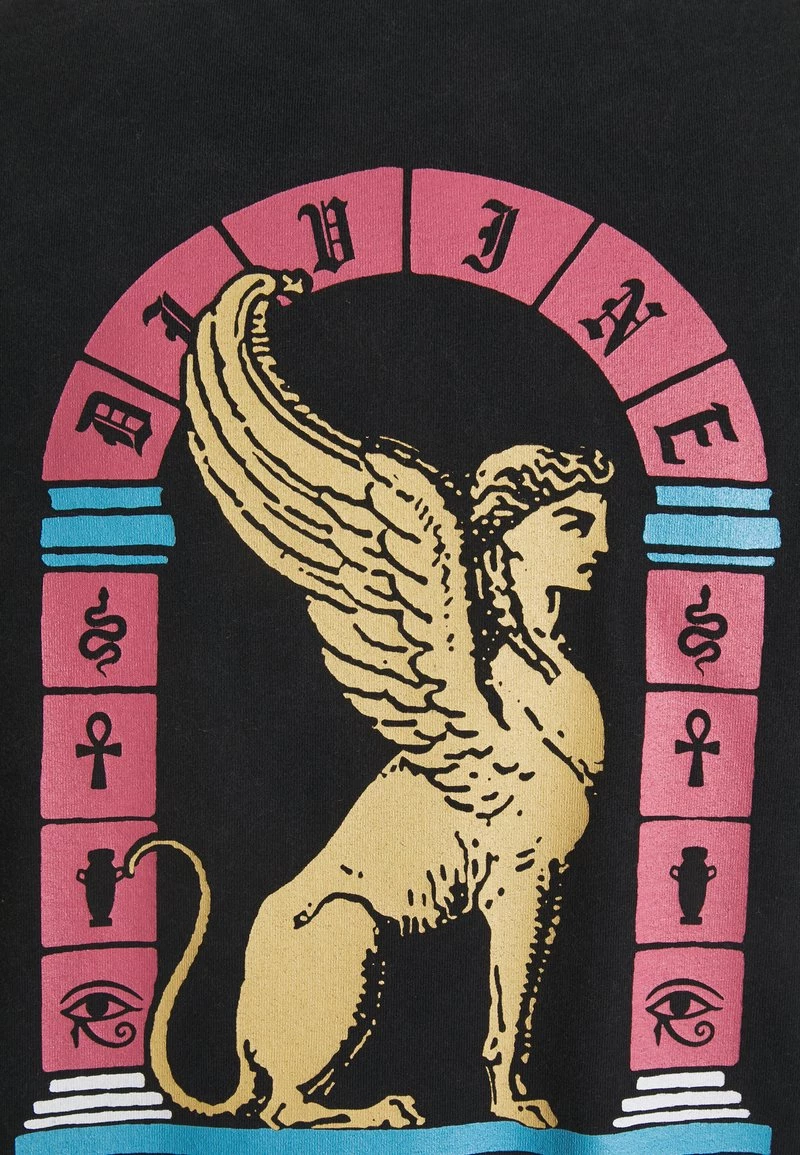 Kaotiko WASHED ETERNAL LION - T-Shirt Print - Black - Herren 5 Kaotiko WASHED ETERNAL LION - T-Shirt Print - Black - Herren – Bild 3